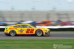DSC5313