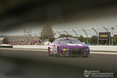 DSC5390